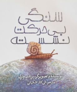 سنگی بی‌حرکت نشسته